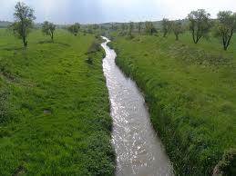 The flow of a stream.